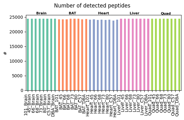 ../_images/tutorials_bludau-2021_tissue-specific-proteoform-inference-across-five-mouse-organs_28_1.png