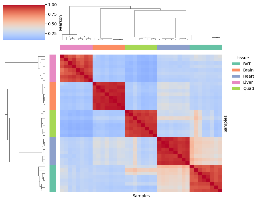 ../_images/tutorials_bludau-2021_tissue-specific-proteoform-inference-across-five-mouse-organs_35_0.png