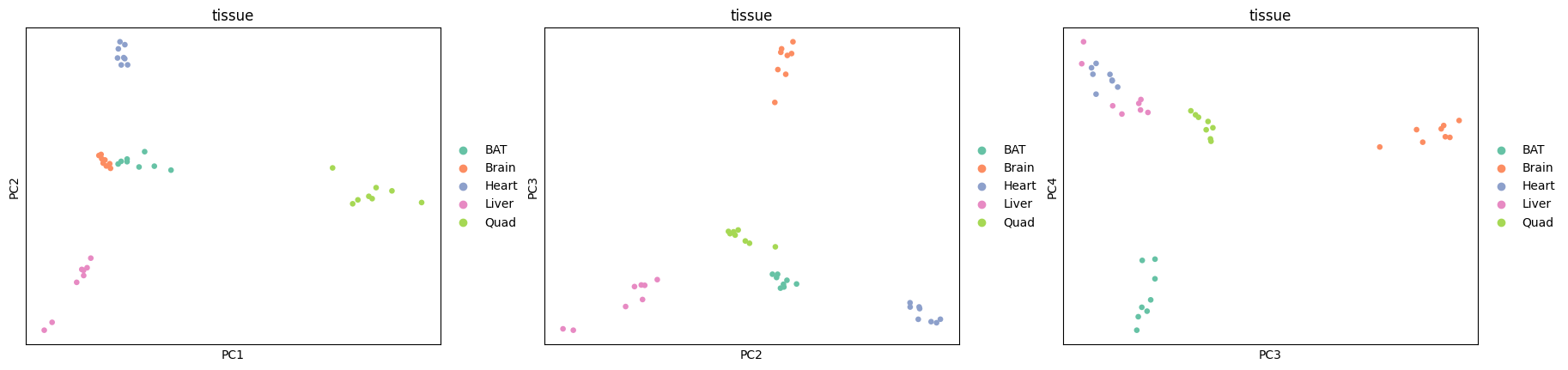 ../_images/tutorials_bludau-2021_tissue-specific-proteoform-inference-across-five-mouse-organs_39_0.png