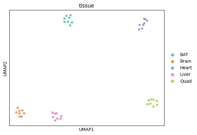 ../_images/tutorials_bludau-2021_tissue-specific-proteoform-inference-across-five-mouse-organs_41_1.png