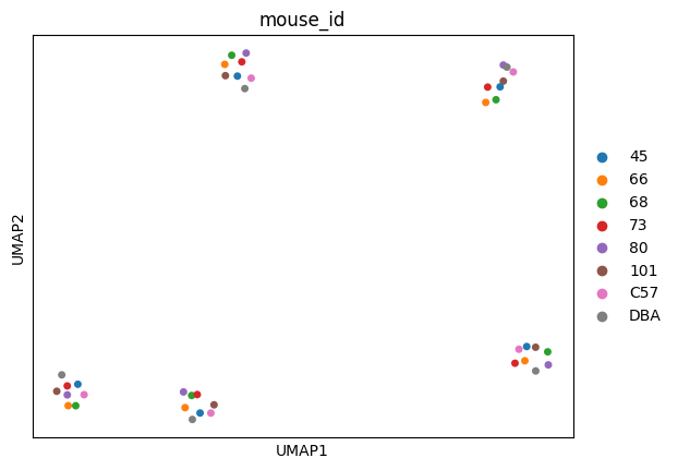 ../_images/tutorials_bludau-2021_tissue-specific-proteoform-inference-across-five-mouse-organs_41_2.png