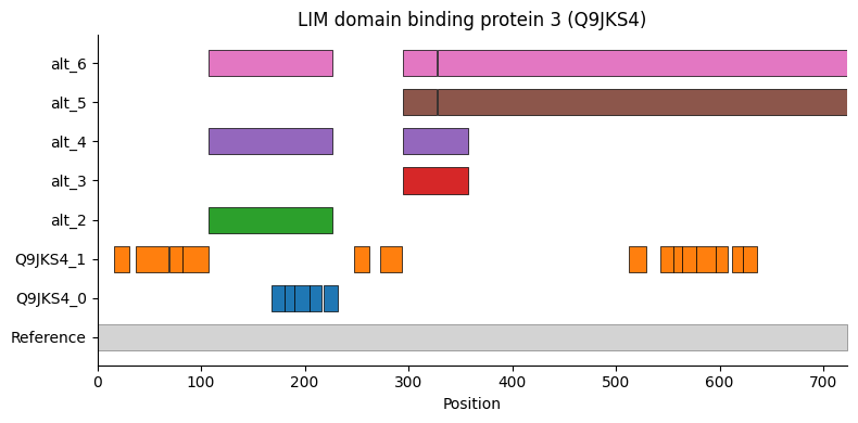 ../_images/tutorials_bludau-2021_tissue-specific-proteoform-inference-across-five-mouse-organs_57_0.png