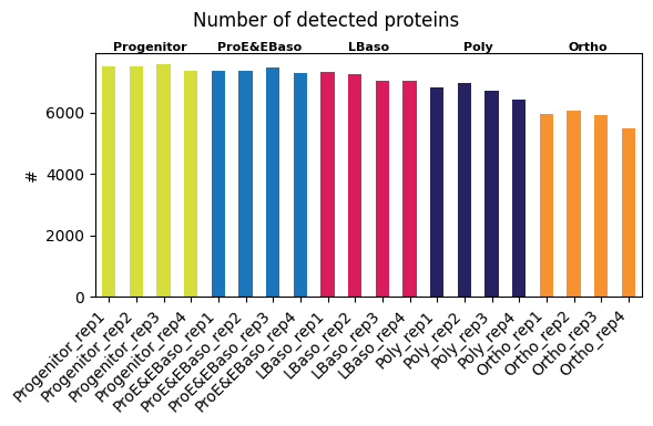 ../_images/tutorials_karayel-2020_proteome-remodeling-during-human-erythropoiesis_19_1.png