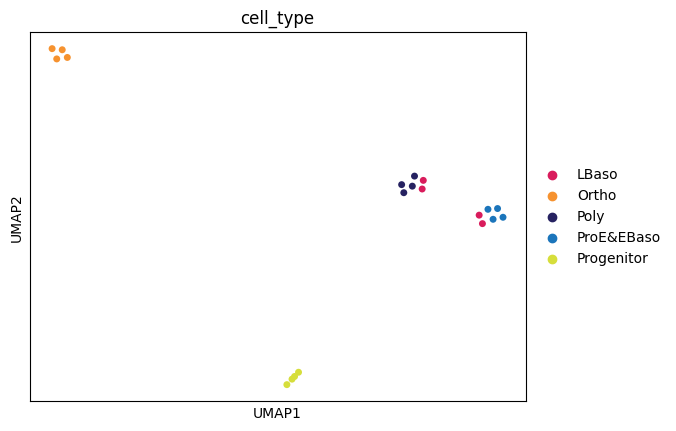 ../_images/tutorials_karayel-2020_proteome-remodeling-during-human-erythropoiesis_48_0.png